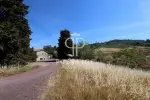 5 bedroom Farmhouse for sale with countryside view in Volterra, Tuscany