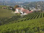 5 bedroom Commercial Property for sale with panoramic view in Alba, Piedmont