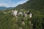Unique 10 bedroom Chateau for sale with panoramic view in Saint Pierre d'Albigny, Rhone-Alpes