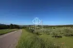 Project 3 bedroom Plot of land for sale with countryside view in Micciano, Tuscany