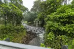 Private Plot of land for sale with countryside view in La Colonia Libertad, Central Costa Rica