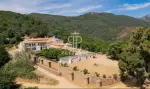 10 bedroom Castle for sale with countryside view in Guadalupe, Extremadura