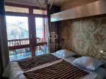 Income Producing 2 bedroom Apartment for sale in Le Chantel, Les Arcs, Rhone-Alpes