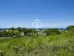 Project Building Land for sale with sea view in Westmoreland, Saint James