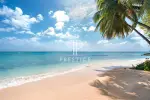 Beachfront Land for sale with sea view in Weston, Saint James