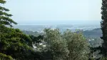 Land for sale with sea and panoramic views with Income Potential in Santa Barbara de Nexe, Algarve