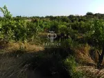 Project Estate for sale in Luz deTavira, Algarve