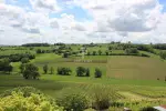 10 bedroom Property for sale with 3 Houses and Vineyard with Income Potential in Cahuzac sur Vere, Occitanie