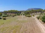 Project 5 bedroom Farmhouse for sale with countryside and panoramic views in Randa, Mallorca