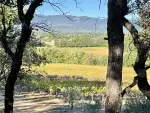 Income Producing 16 bedroom Estate for sale with panoramic view in Lourmarin, Provence Alpes Cote d'Azur