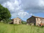 8 bedroom Farmhouse for sale with panoramic view with Income Potential in Allerona, Umbria