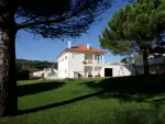 Authentic 4 bedroom Villa for sale with countryside view in Alcobaca, Central Portugal