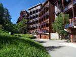 Authentic 2 bedroom Apartment for sale in Charmettoger, Les Arcs, Auvergne Rhone Alpes