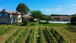 Vineyard with Chateau name and 5 bedroom  Property for sale with panoramic view with Income Potential in Cambes, Nouvelle Aquitaine