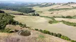 Project Land for sale with panoramic views in Volterra, Tuscany
