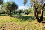 Project Building Land for sale with hillside view in Opio, Provence Alpes Cote d'Azur