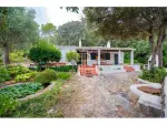 Authentic 3 bedroom House for sale with countryside view in Sa Roca, Es Mercadal, Menorca