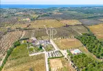 Unique 20 bedroom House with countryside view in Meledugno, Lecce, Puglia