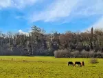 Unique 3 bedroom House for sale with countryside view in Ruffec, Nouvelle Aquitaine