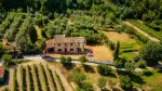 Authentic 3 bedroom Farmhouse for sale with countryside view in Terricciola, Tuscany