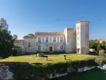 Authentic 4 bedroom Chateau for sale with panoramic and countryside views in Larroque Engalin, Lectoure, Occitanie