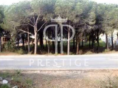 Plot of land for sale in Hacienda Las Chapas, Marbella, Andalucia