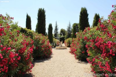 Historical 4 bedroom Farmhouse for sale in Aups, Cote d