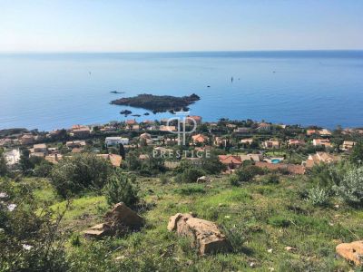 Plot of land for sale with sea view in Antheor, Cote d'Azur French Riviera