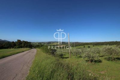 Project 3 bedroom Plot of land for sale with countryside view in Micciano, Tuscany