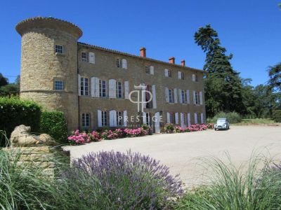 Character 12 bedroom Chateau for sale with countryside view in Beauville, Aquitaine