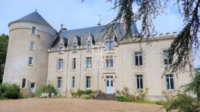 Historical 7 bedroom Chateau for sale in Le Blanc, Centre