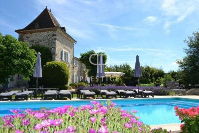 Income Producing 15 bedroom Manor House for sale with countryside view in Trentels, Aquitaine