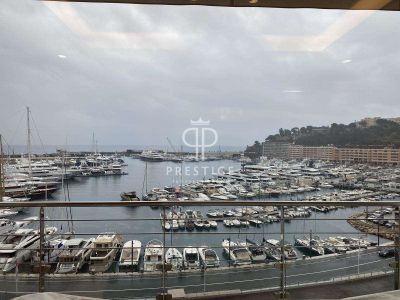 2 bedroom Apartment for rent with sea and panoramic views in Monte Carlo, Monte Carlo and Beaches