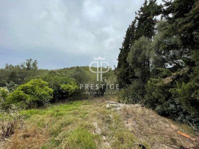 Project Plot of land for sale in Son Rapinya, Palma, Mallorca