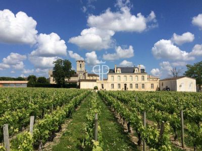 Historical 8 bedroom Chateau for sale with countryside view in Le Taillan Medoc, Aquitaine