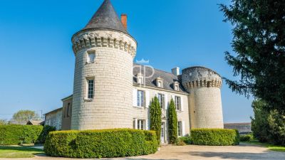 Exclusive 7 bedroom Chateau for sale with countryside view in Richelieu, Centre