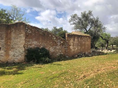 Project Land for sale in Loule, Algarve