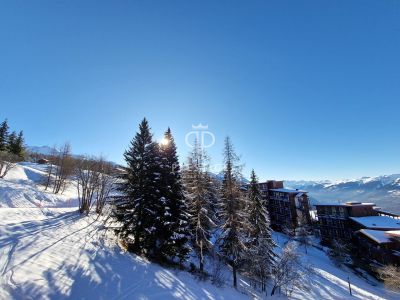 Cosy Duplex for sale with countryside view and panoramic view in Les Arcs, Rhone-Alpes