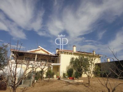 Quiet 4 bedroom Villa for sale with countryside view in Caldas da Rainha, Central Portugal