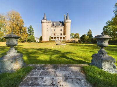 Grand 9 bedroom Chateau for sale with countryside view in La Chatre, Centre