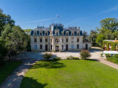 Income Producing Bordeaux Vineyard  with  Chateau for sale with  in Gironde Nouvelle Aquitaine