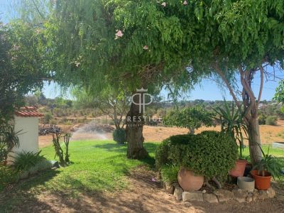 Project Land for sale with countryside view in Almancil, Algarve