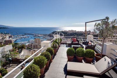 Spacious 4 bedroom Apartment for sale with sea view in Jardin Exotique, Port and Exotic Gardens