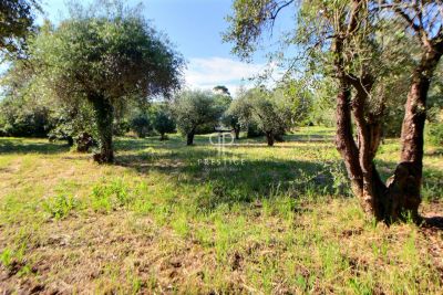 Project Building Land for sale with hillside view in Opio, Provence Alpes Cote d'Azur