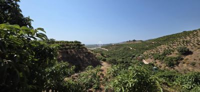 Income Producing 4 bedroom Farmhouse for sale with panoramic and sea views in Velez Malaga, Andalucia