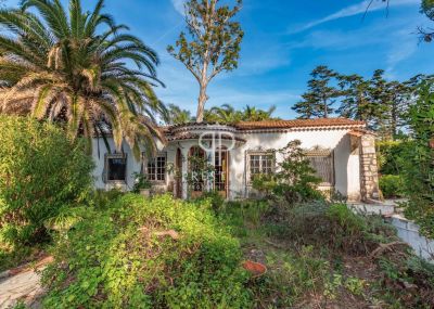 3 bedroom villa for sale, Cap d'Antibes, Alpes Maritimes 6, French Riviera