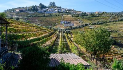 Income Producing Vineyard Estate with  5 bedroom Quinta for sale with panoramic and countryside views in Cambres, Lamego, Northern Portugal