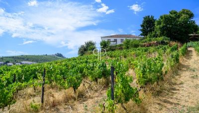 Unique Estate for sale with countryside view in Santa Marta de Penaguiao, Northern Portugal