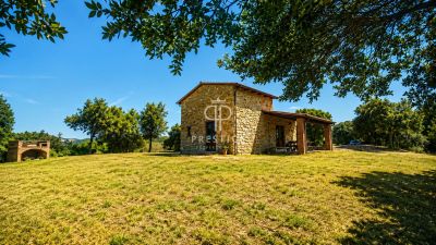 Authentic 2 bedroom Farmhouse for sale with countryside view in Casole d'Elsa, Tuscany