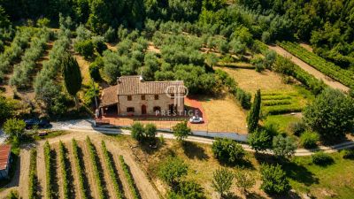 Authentic 3 bedroom Farmhouse for sale with countryside view in Terricciola, Tuscany